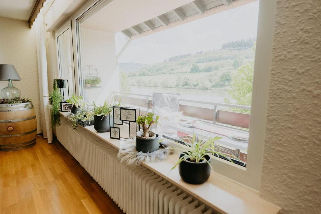 Ferienhaus Anni Apartamento Zell an der Mosel Exterior foto